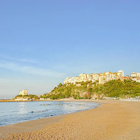 Zaffiro - 2 Mins From The Sea